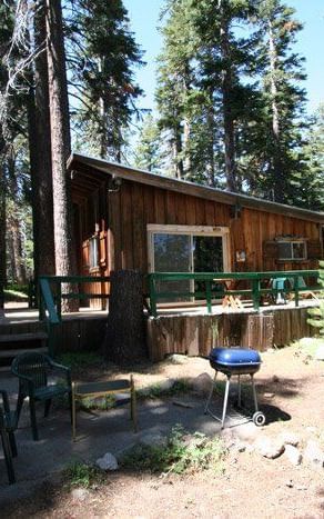 A rustic cabin with a slanted roof sits among the  towering trees. - Kit Carson Lodge