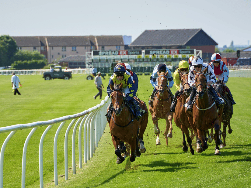 Jockeys in colorful silks ride horses toward the camera on a green turf track with starting gates in the background.