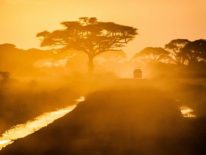 A vehicle travelling on a mud road with trees on either side in the early morning