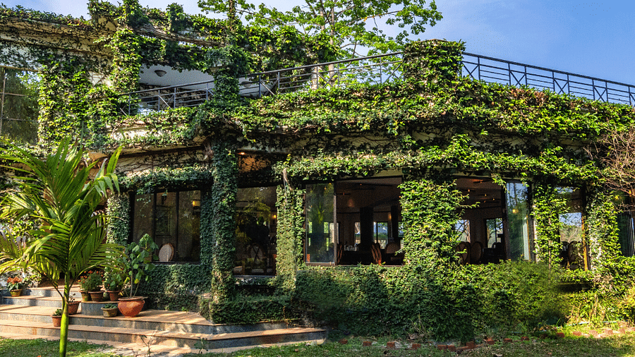 The Hideaway Restaurant covered in green leaves at The Riverwood Forest Retreat, Dooars
