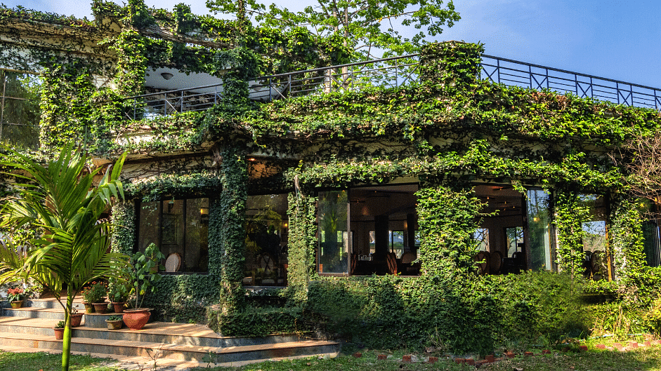 The Hideaway Restaurant covered in green leaves at The Riverwood Forest Retreat, Dooars
