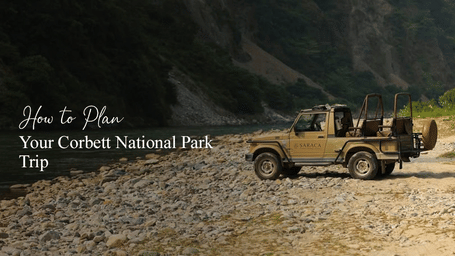 Planning a Corbett National Park trip with safari and luxury stay at Saraca Resort & Spa Corbett