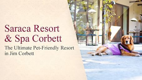 Golden retriever in a purple vest lies beside an outdoor dining table at Saraca Resort & Spa Corbett, with a guest seated nearby in a relaxed setting.