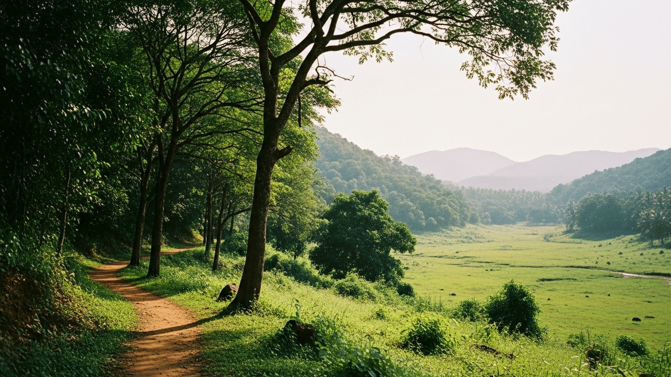 Forest stay in South Goa at Nature Trails Rock Valley Goa