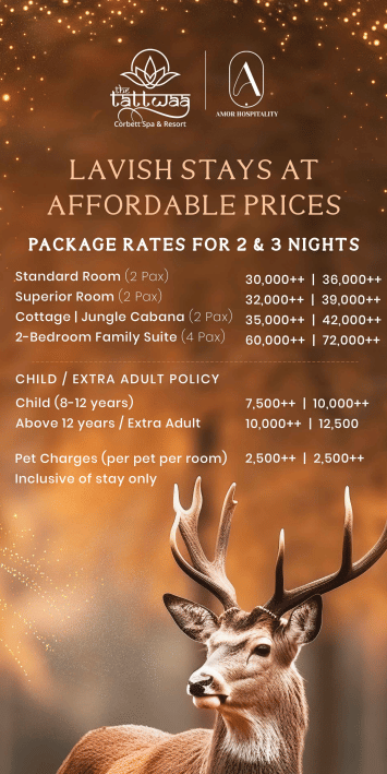 Screenshot from 2025-12-09 16-46-49