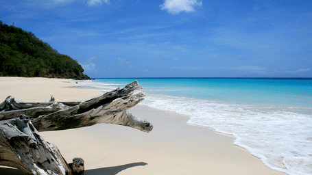A beach near Tamarind Hills Resort and Villas, Antigua, with soft sands, waves, and driftwood resting near the shoreline.