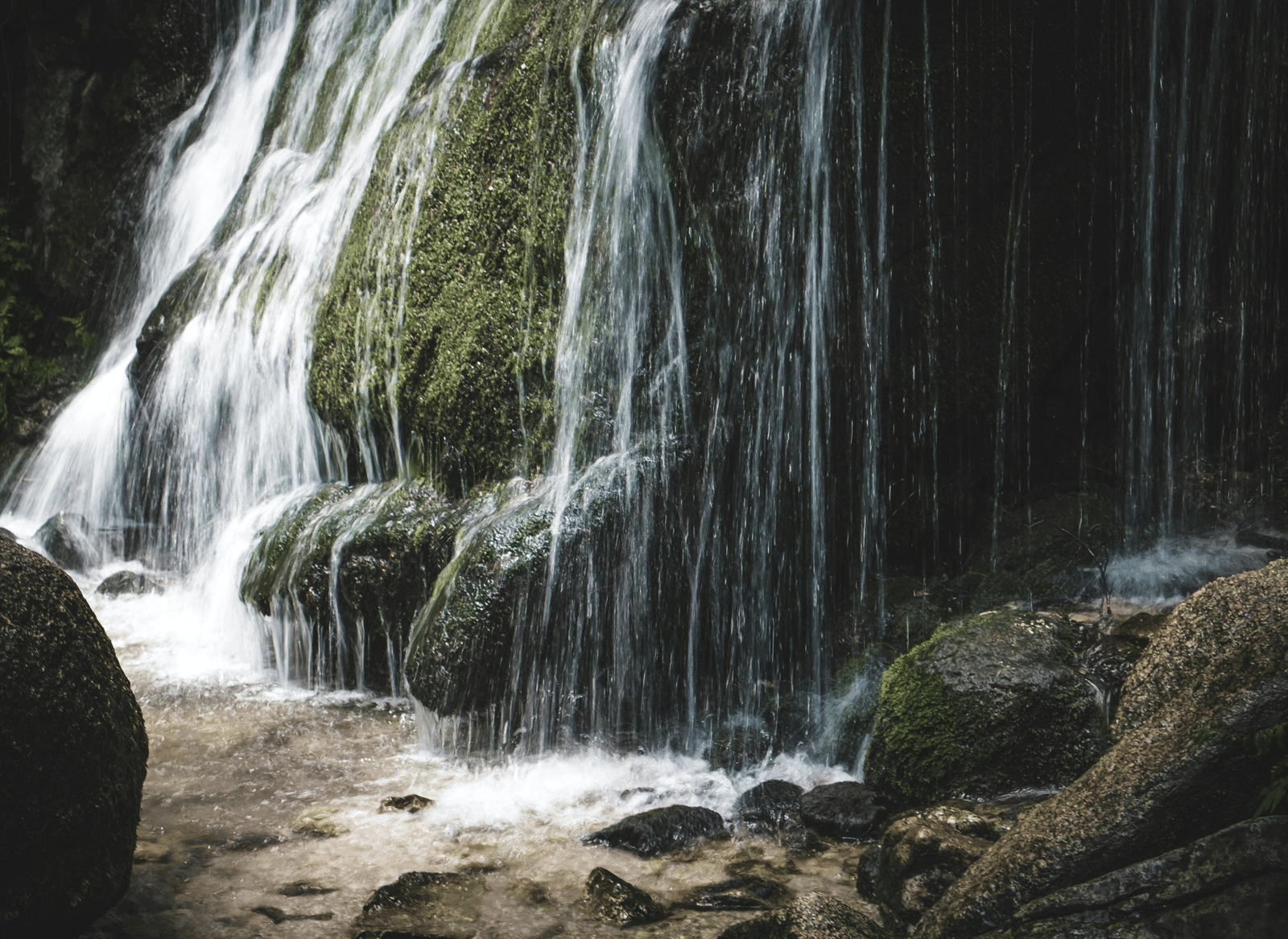 pexels-jokassis-5567549