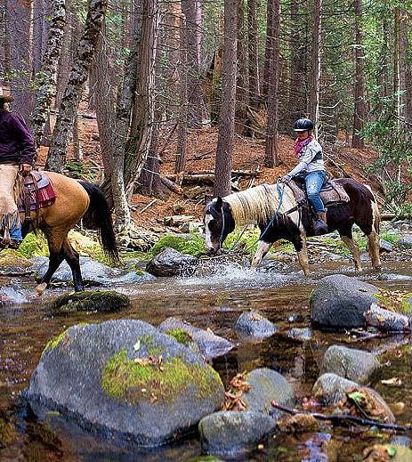 People riding horses besides a stream in a forest - Narrow Gauge Inn - A Serenite Hotel Near Fish Camp.