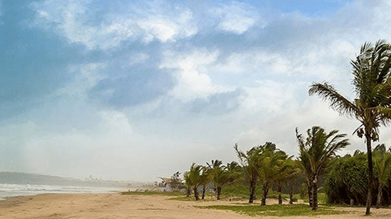 An overview of Arossim Beach in south goa with coconut trees and waves in view, one of the most sought-after places for Water Activities in South Goa. 