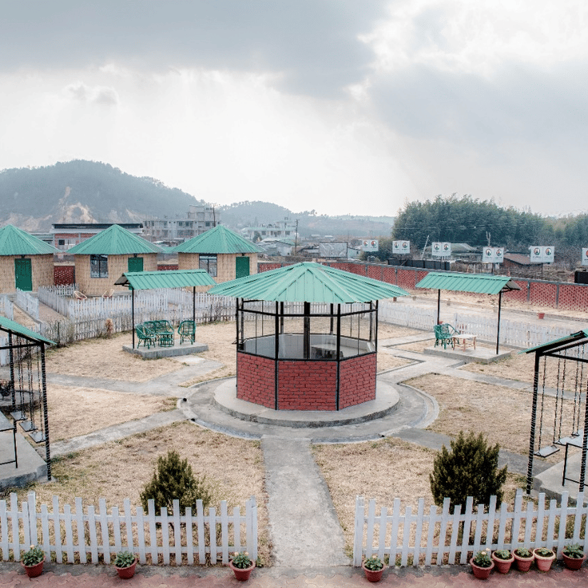 Plants placed in pattern in an open place.
