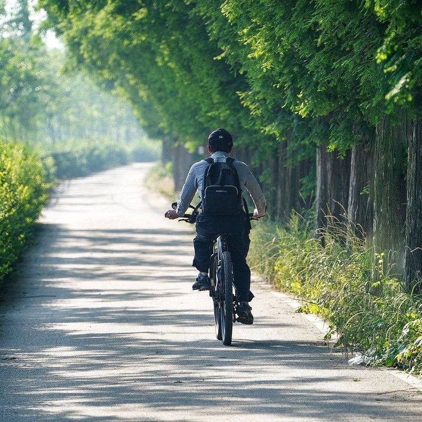 a person riding a bicycle on a clear sunny pathway surrounded by lush greenery in the pathway