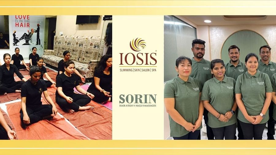Group picture of IOSIS and Sorin employees 
