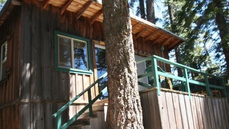 A rustic cabin with weathered wood siding and a trimmed window nestled amongst tall trees. - Kit Carson Lodge & Restaurant 