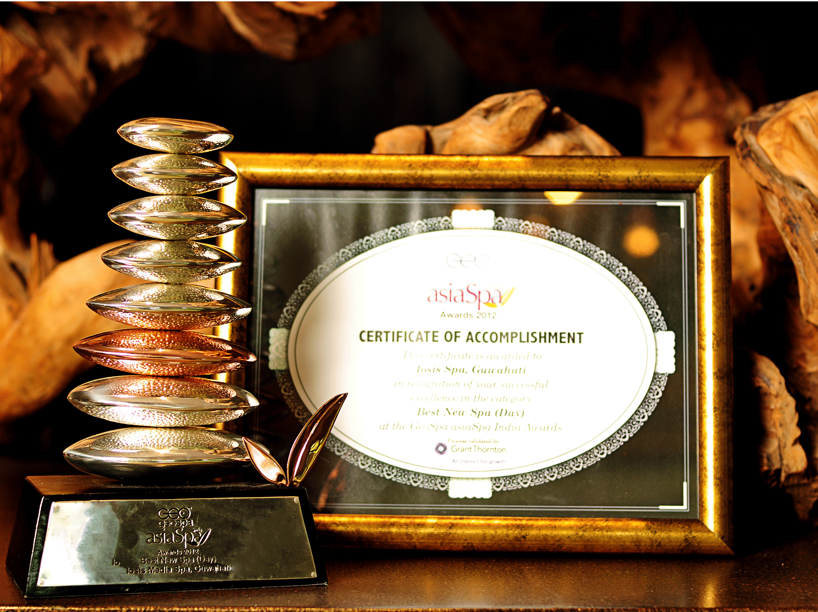 Close up image of a fancy award, and a framed award for IOSIS.