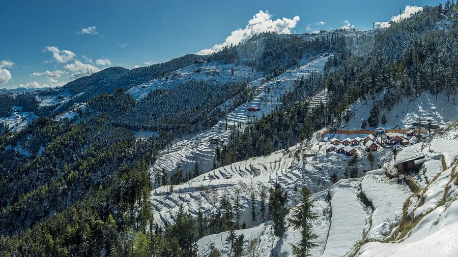 Woodays Resort Shimla 10