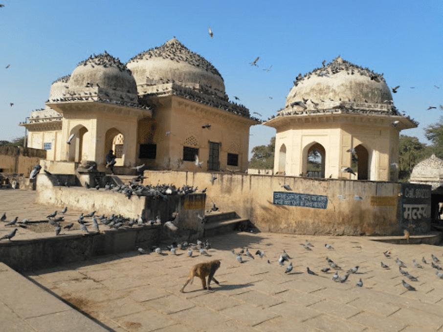 talvriksha - A distinctive rounded domes under a blue sky.