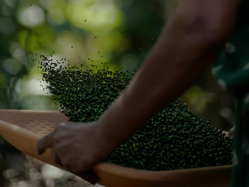 pexels-nandhukumar-3930019