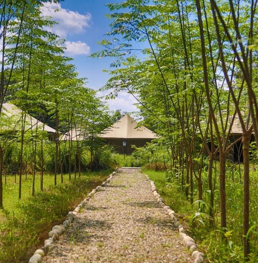 A serene pathway lined with stones leads through lush greenery to charming cottages - Claridges Collection