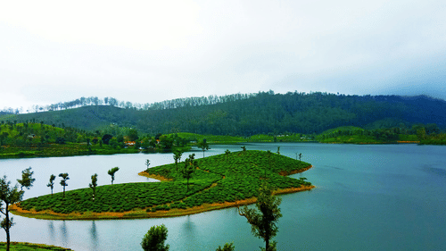 An overview of a small island in a lake with vegetation on it - Best Time to Visit Coimbatore