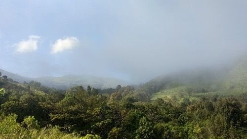 foggy view of lush green hills during daytime