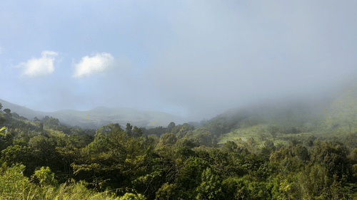 Lush green hills and dense forest partially covered in mist under a clear sky with two small clouds.