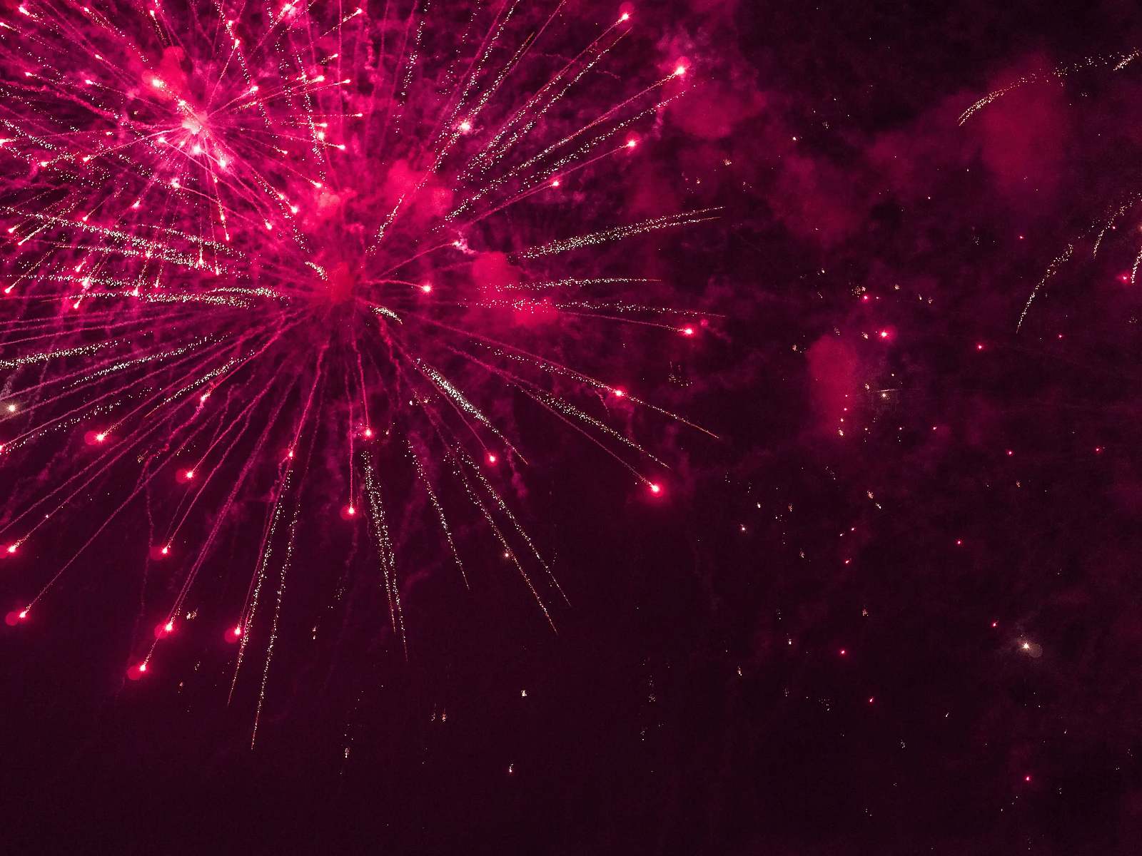 Bright pink fireworks lighting up a dark sky.