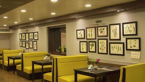 Tamarind Multicuisine Restaurant Rockland  Hotel Chittaranjan Park New Delhi Hauz Khas Restaurant