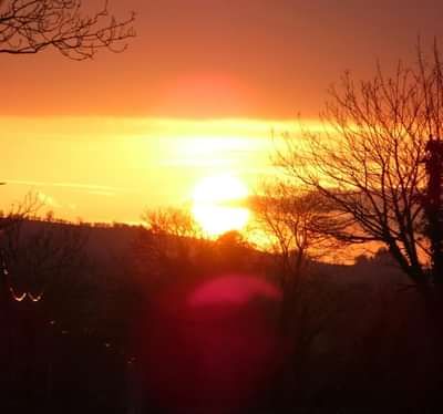 pexels-peterbeee-706132