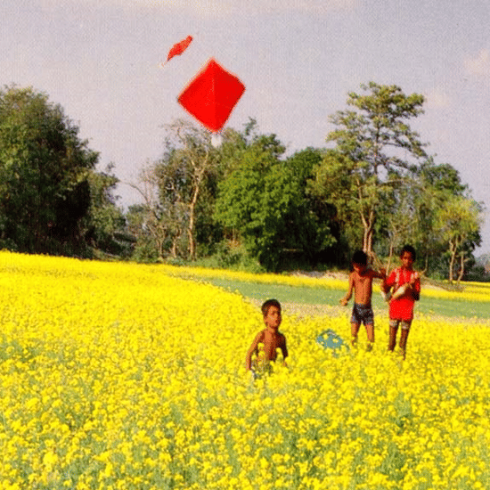 Kite Flying at Umaid Palace Hotel Kalakho Dausa Rajasthan