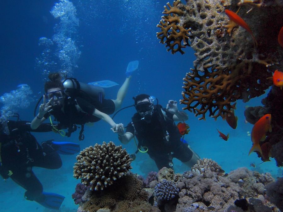 Divers surrounded by colourful corals Scuba Diving in Port Blair 