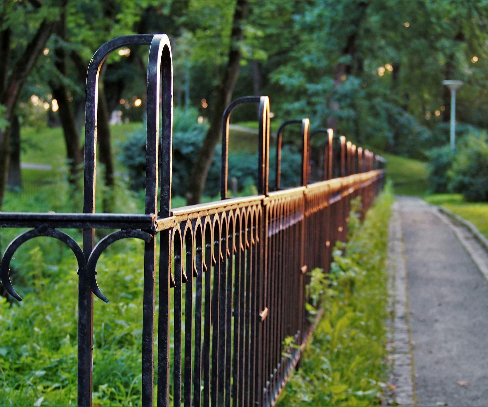 An image of a pathway bounded by an iron gate and beyond that there is a garden of trees and plants
