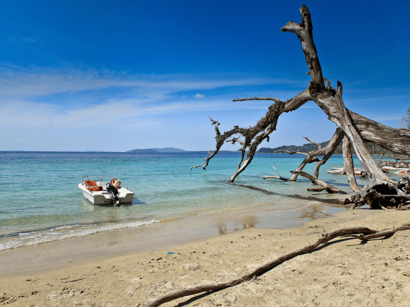 An overview of Elephant Beach with a boat floating near the shore and a broken tree next to it.