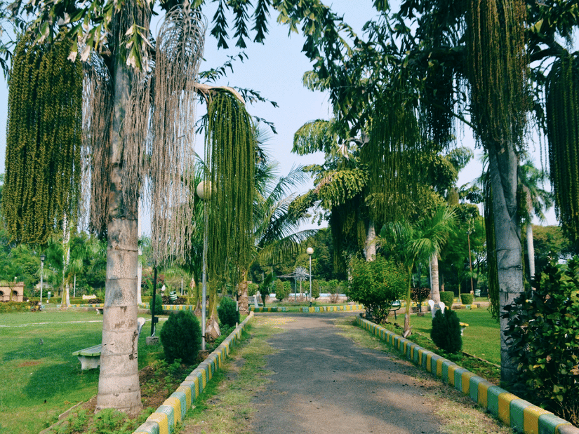 A paved pathway winds through a park lined with palm trees and green grass under a clear sky.
