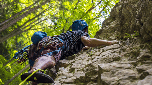 A man rock climbing surrounded by tall green trees