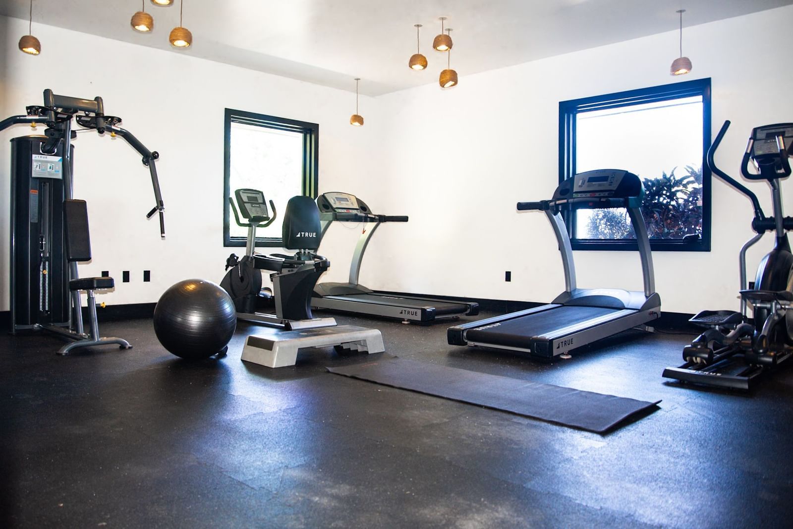 Wellness Image 3
