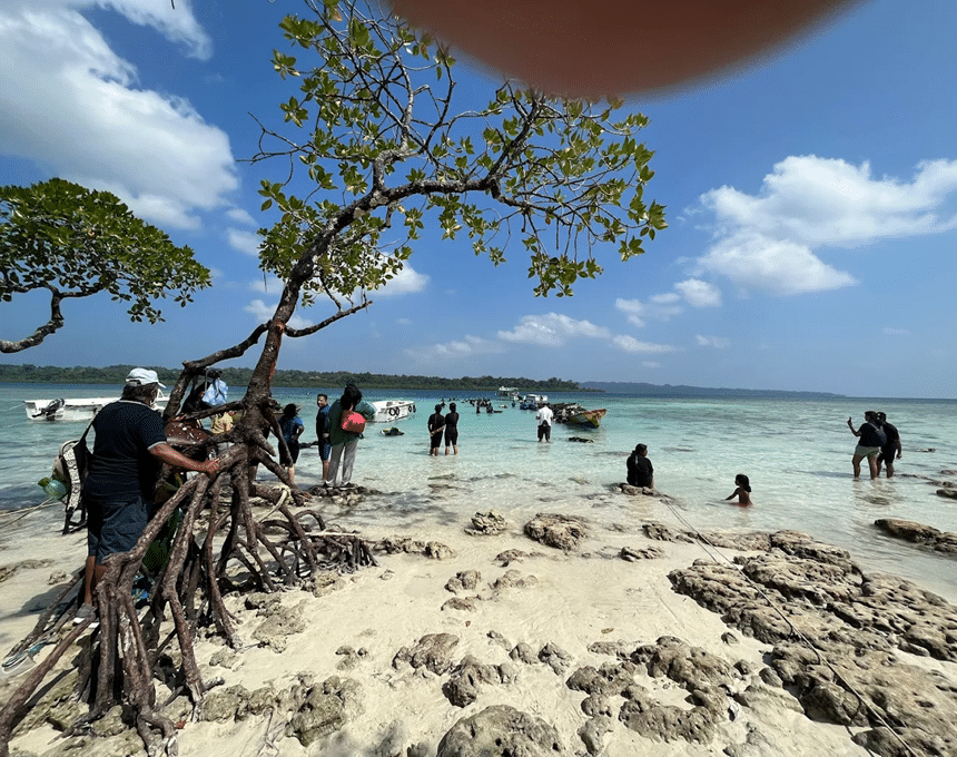 Nemo Reef