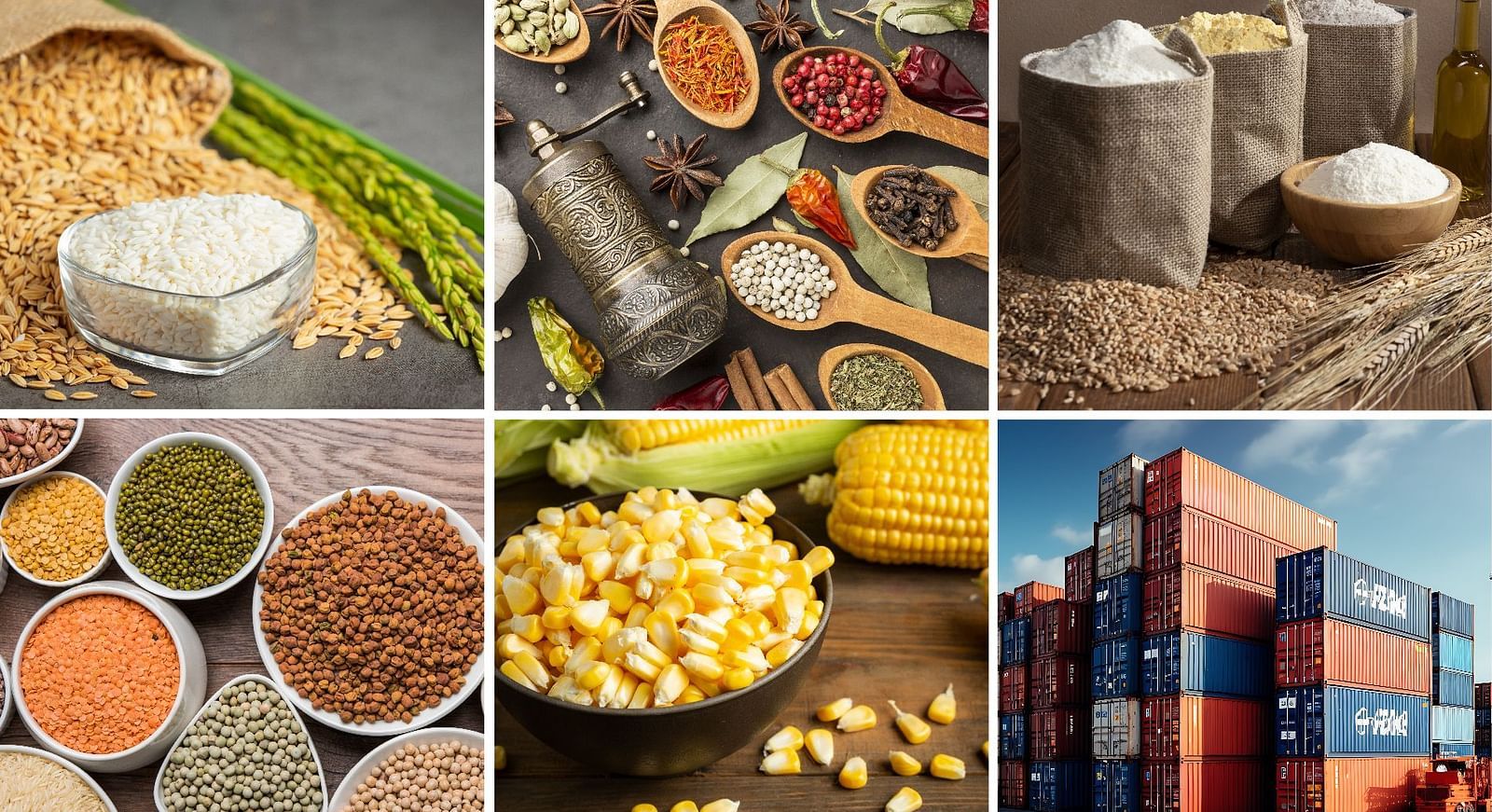 An image showcasing various sections, including pulses, grains, spices, corn, and shipping containers.