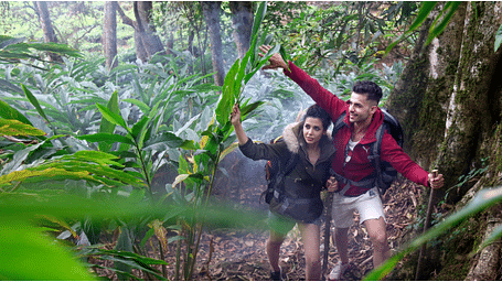 Couples trekking through the lush greenery of Munnar