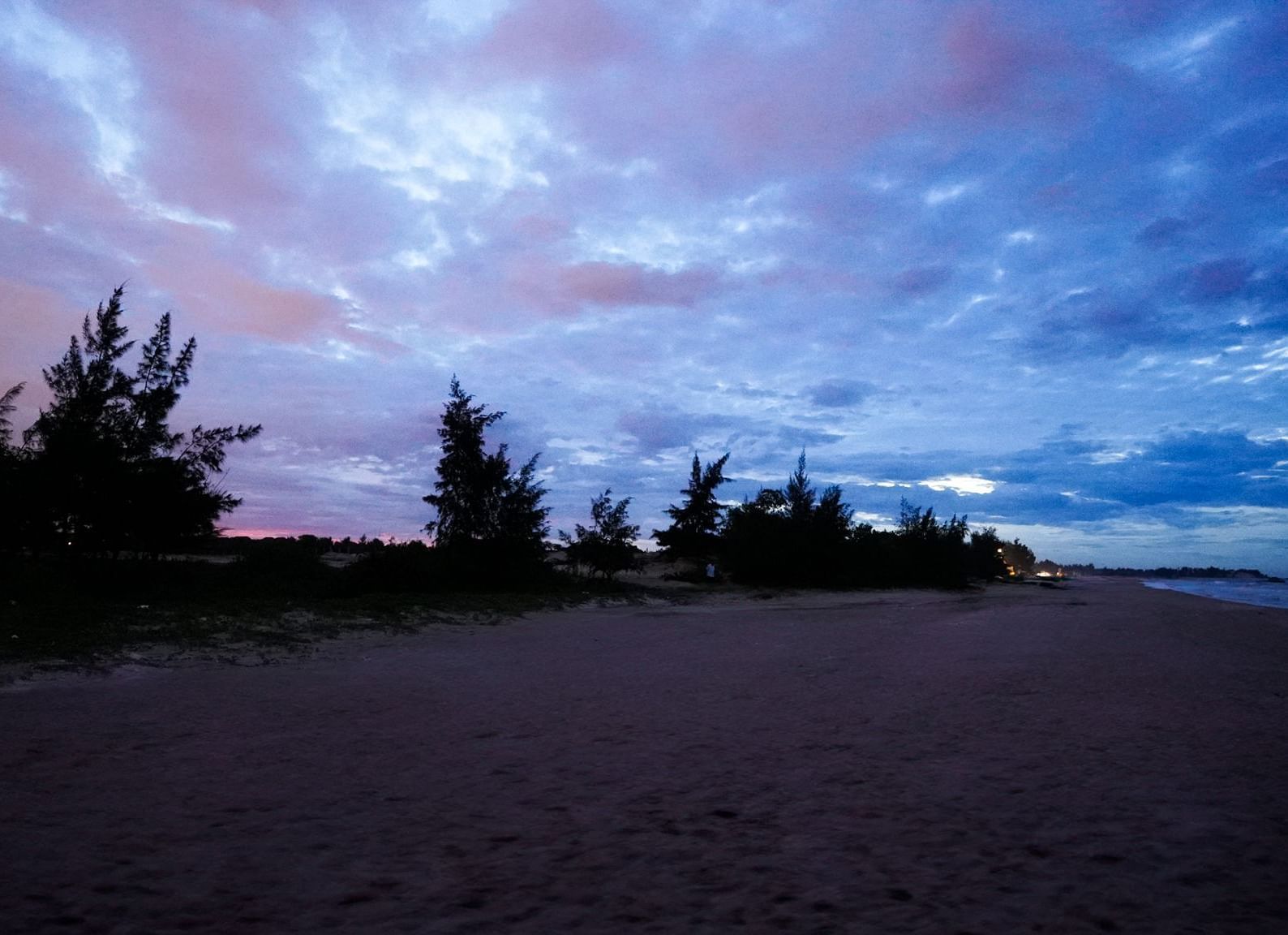 A view of a beach at dusk with trees around
