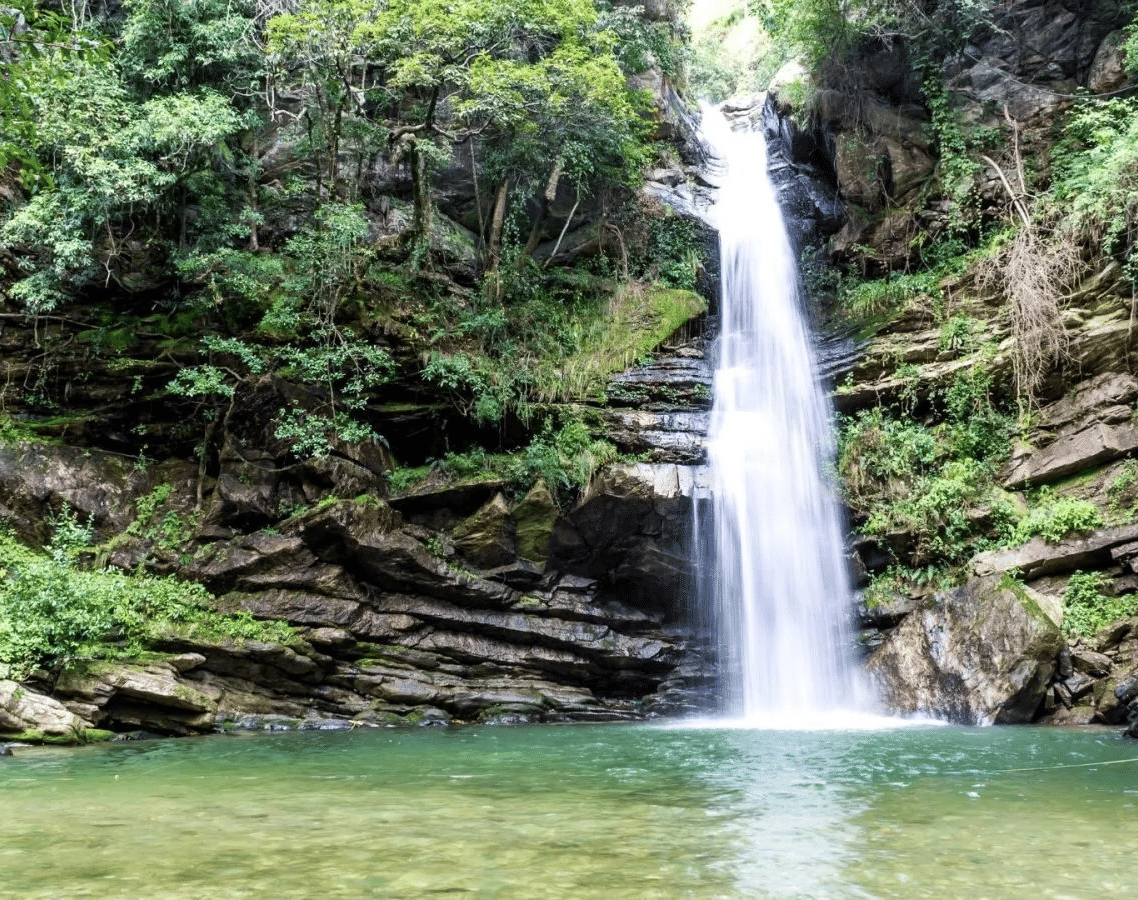  A single, tall waterfall cascades into a clear, tranquil pool, surrounded by lush green jungle foliage and tiered, rocky cliffs.