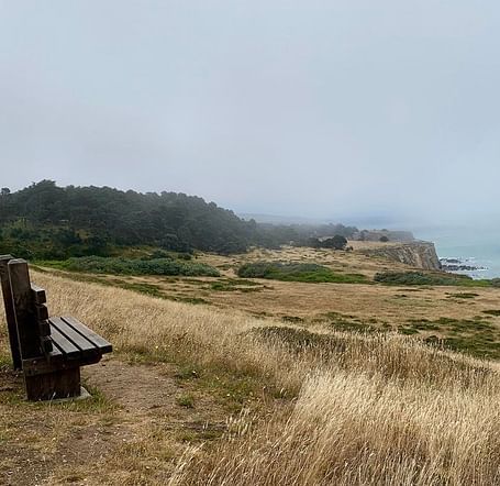 A bench sits on a grassy hillside overlooking a body of water and a distant shoreline under an overcast sky.