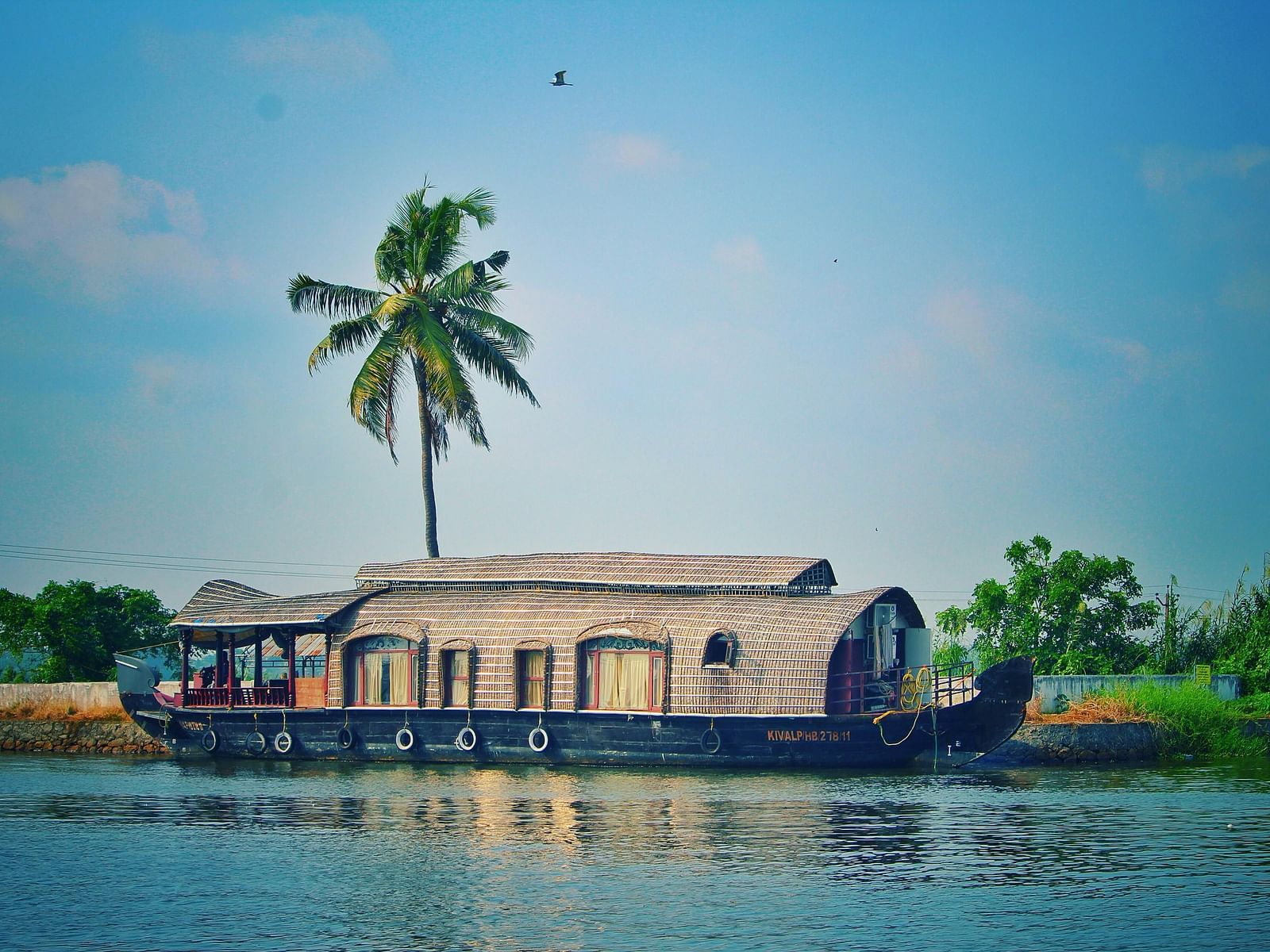 An image of a houseboat sailing on a water body with greenery in the background