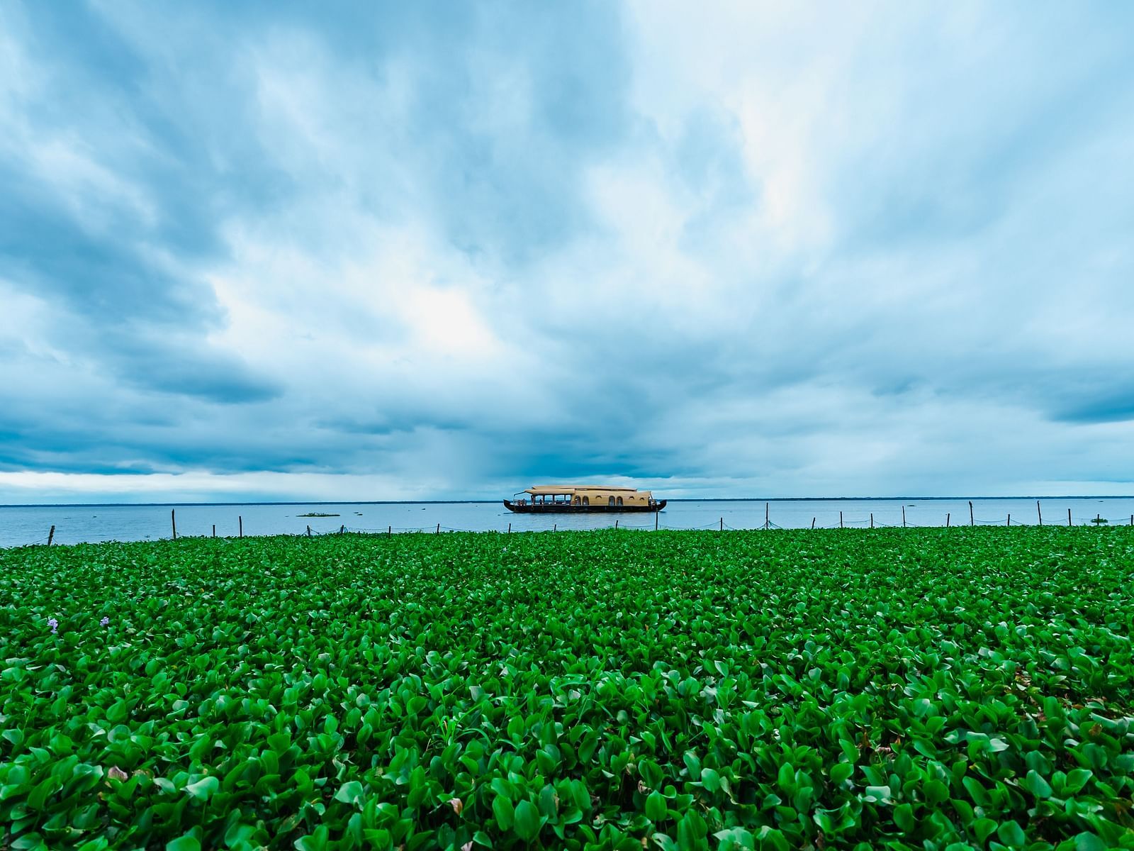 An image of a lake view with a boat drifting under soft clouds. - Rhythm Kumarakom