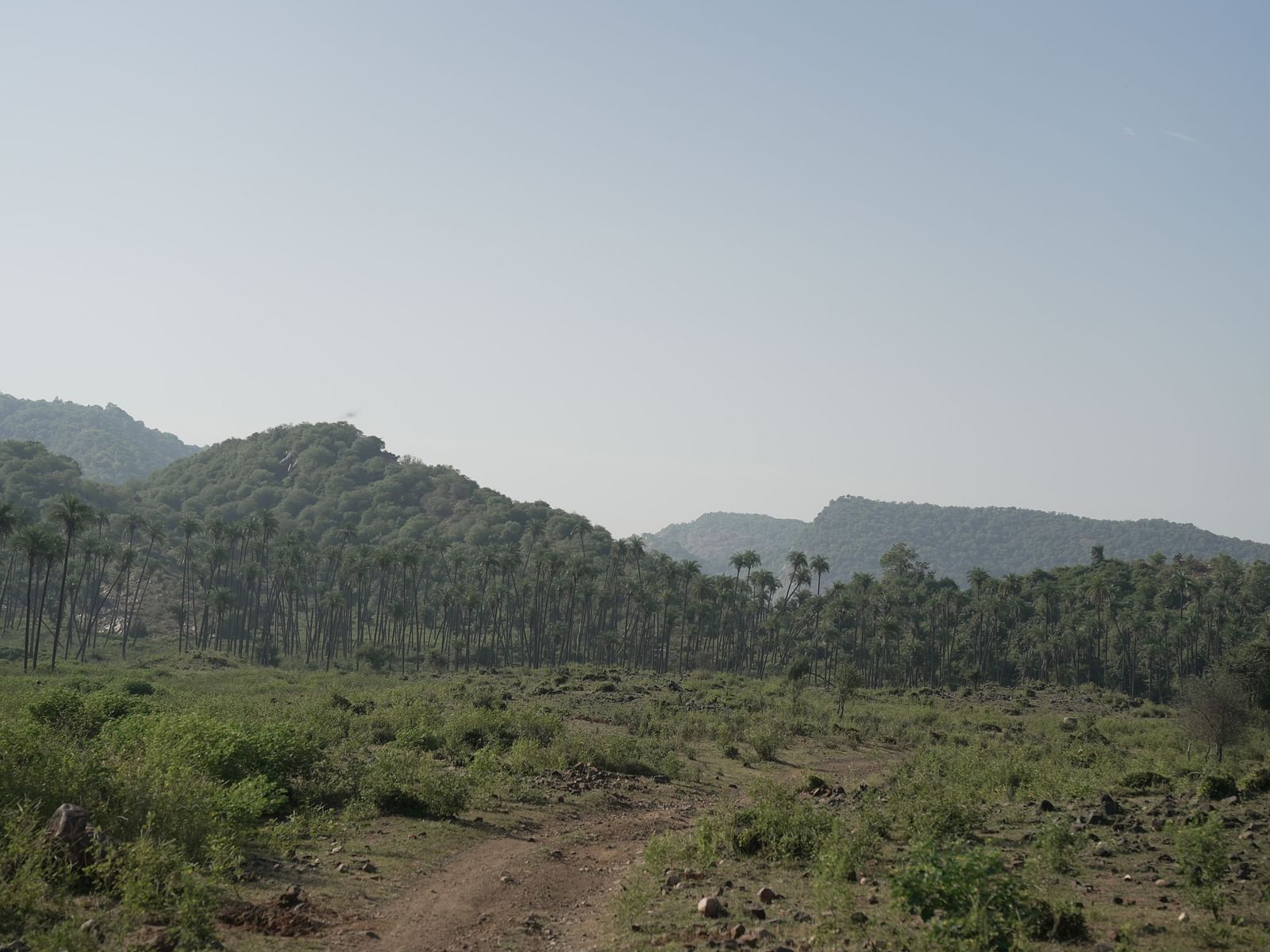 Image of a lush green mountain area | Utsav Camp