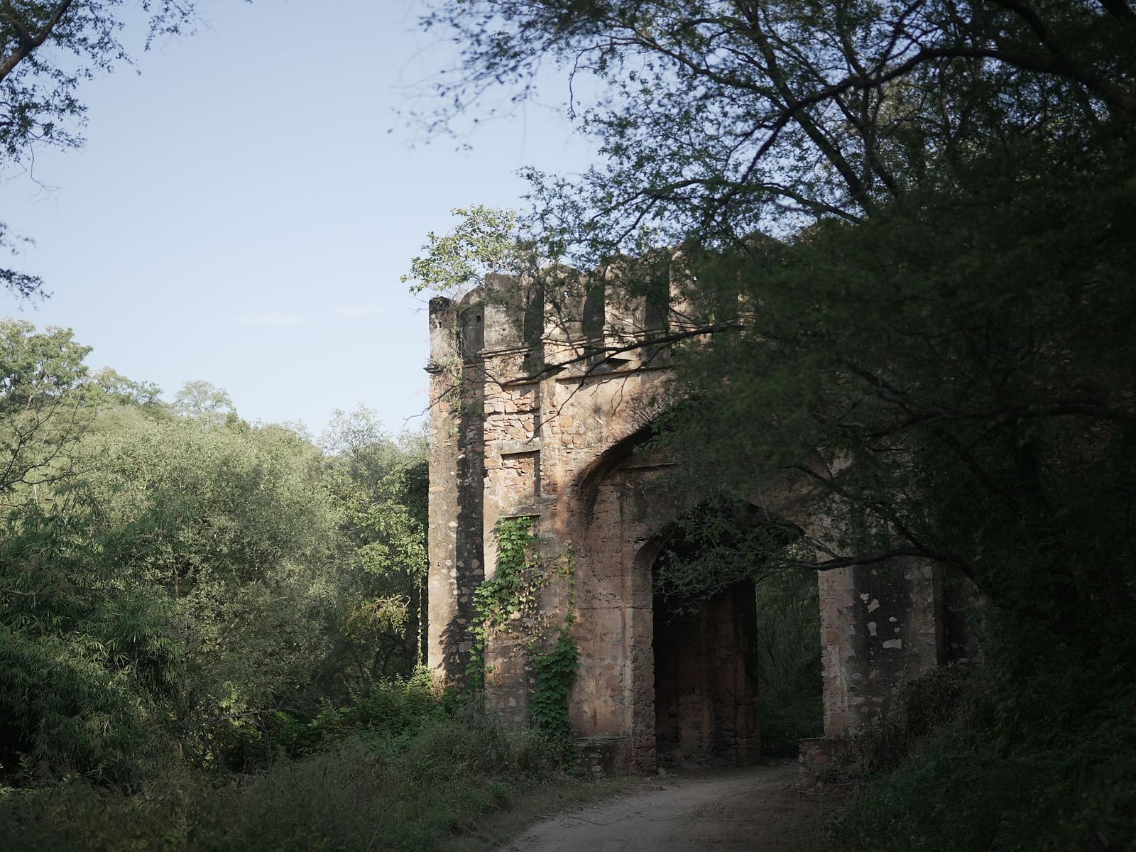 Entrance gate of Sariska National Park Safari - Utsav Camp sariska
