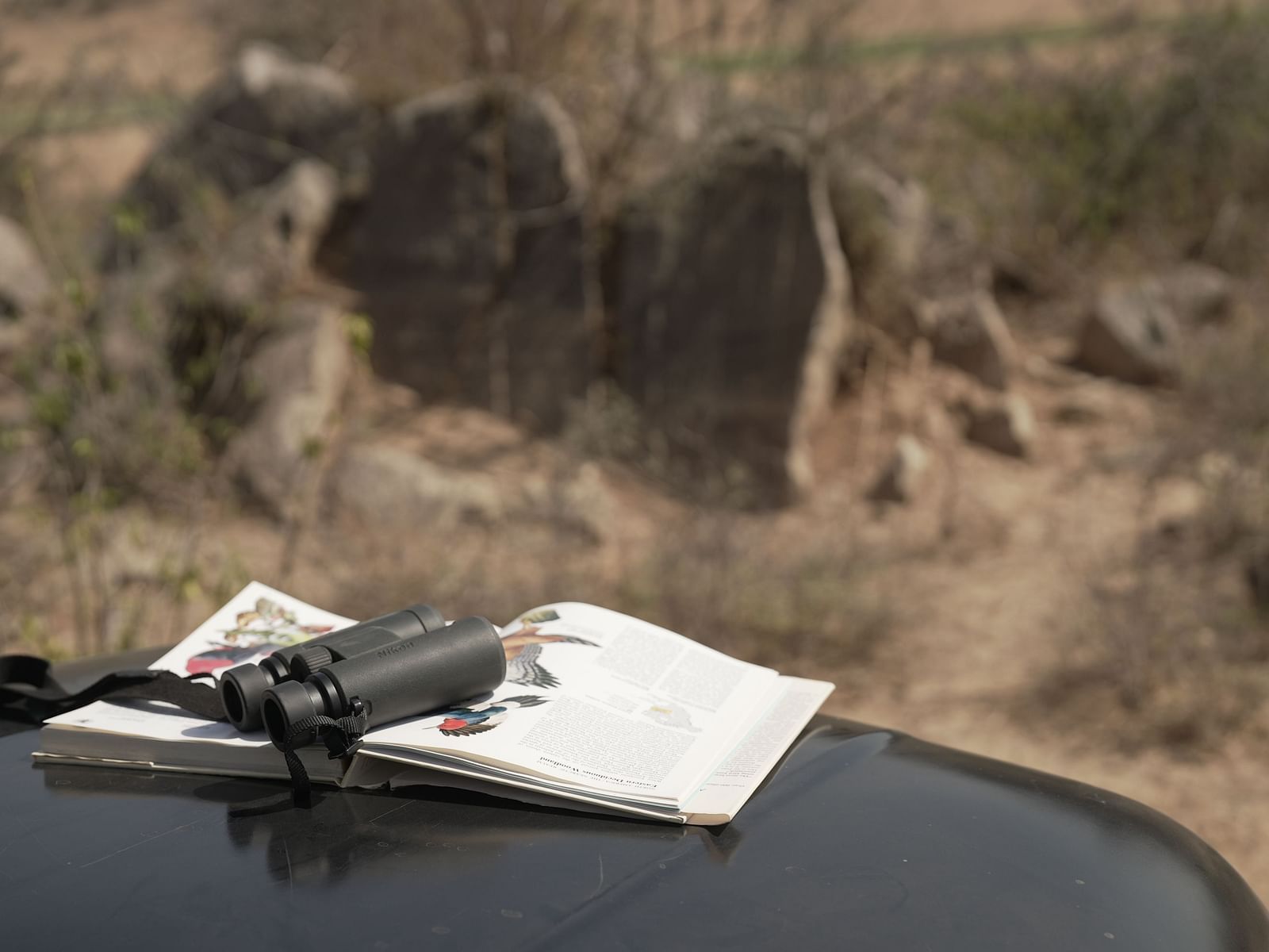 Image of a book and binoculars kept on the bonnet of a jeep  - Utsav camp Sariska