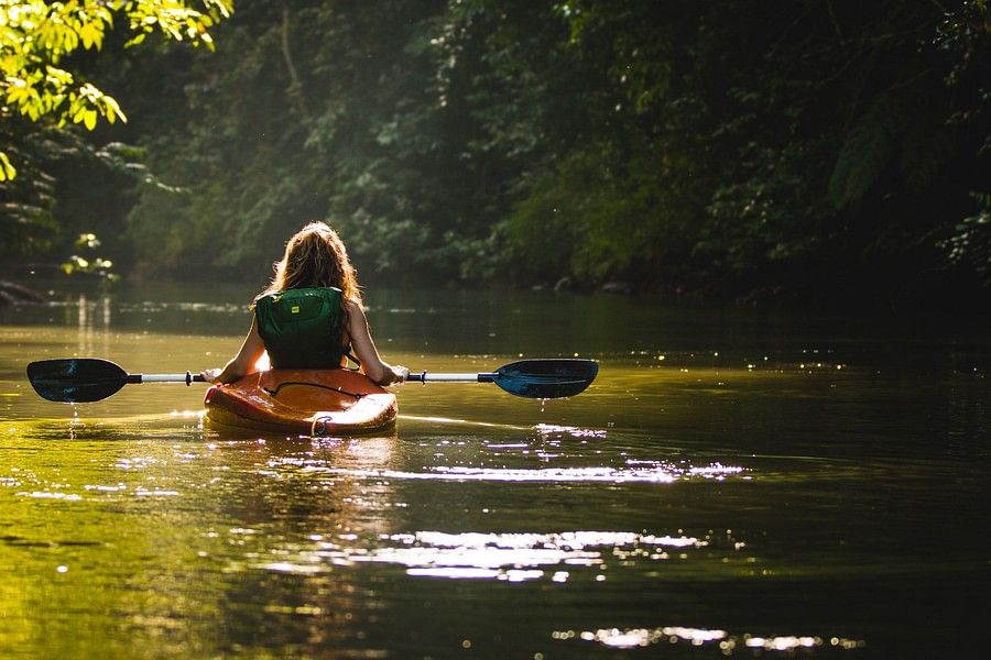 back side view of a woman kayaking alone in an orange boat surrounded by trees . 