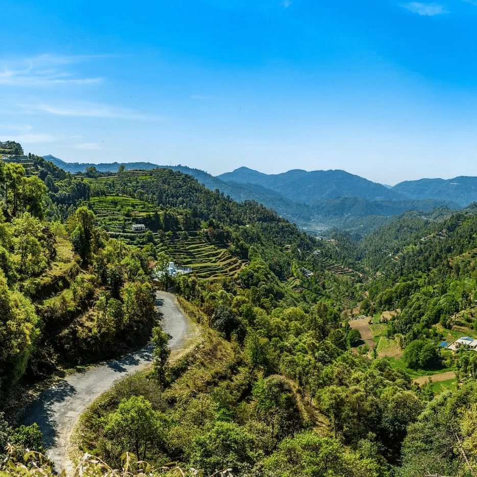 ZENq Resort and Spa, Mukteshwar