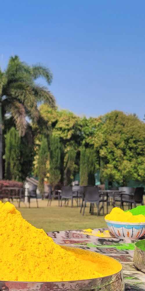Holi in Jim corbett