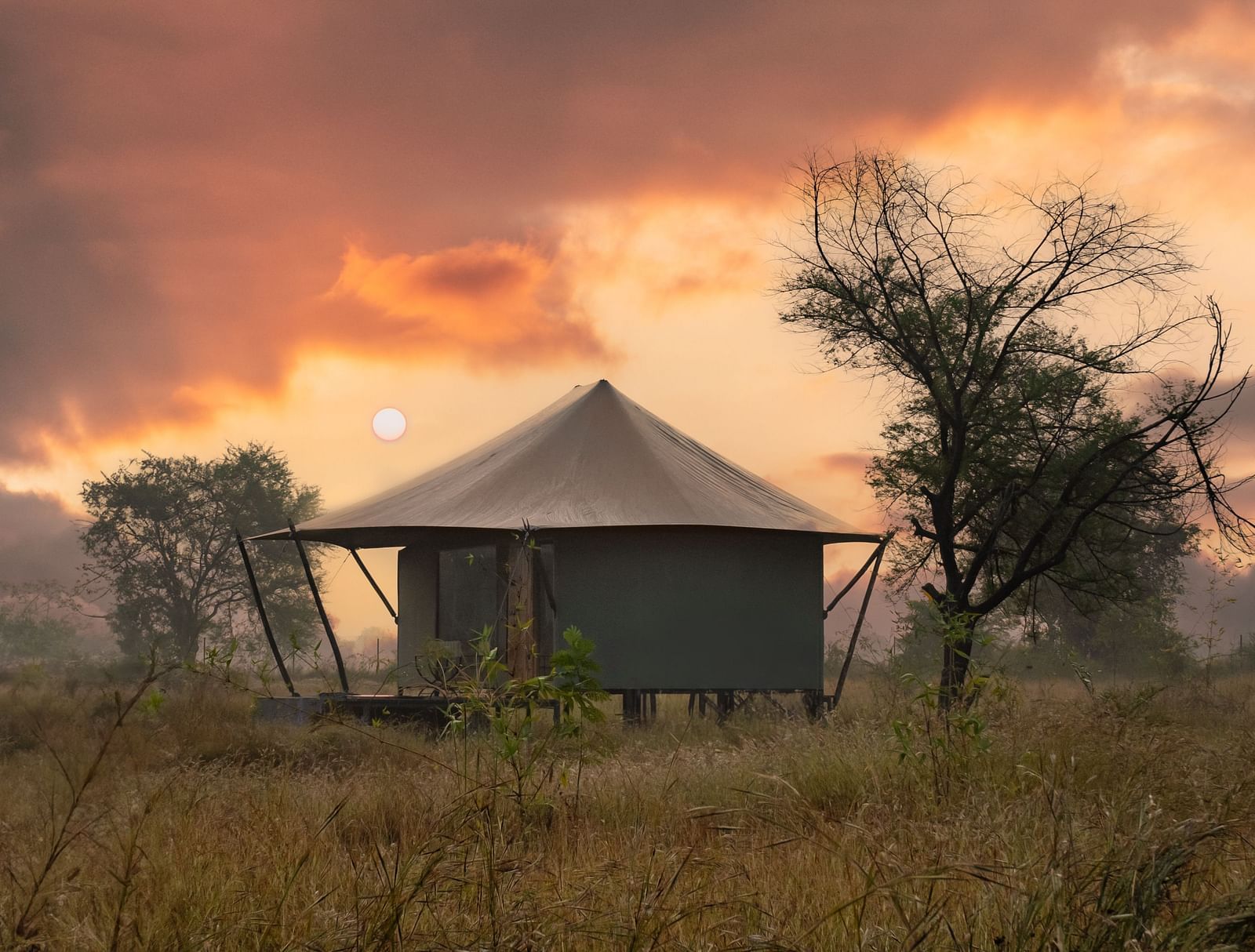 View of a hut during dusk amongst greenery at Trees N Tigers, Tadoba.